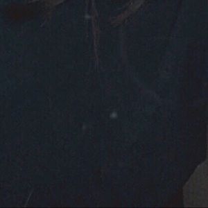 Meet your Posher, Evelyn